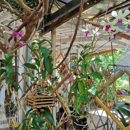 Hotel Patty'S Secret Garden Ko Lanta Exterior foto