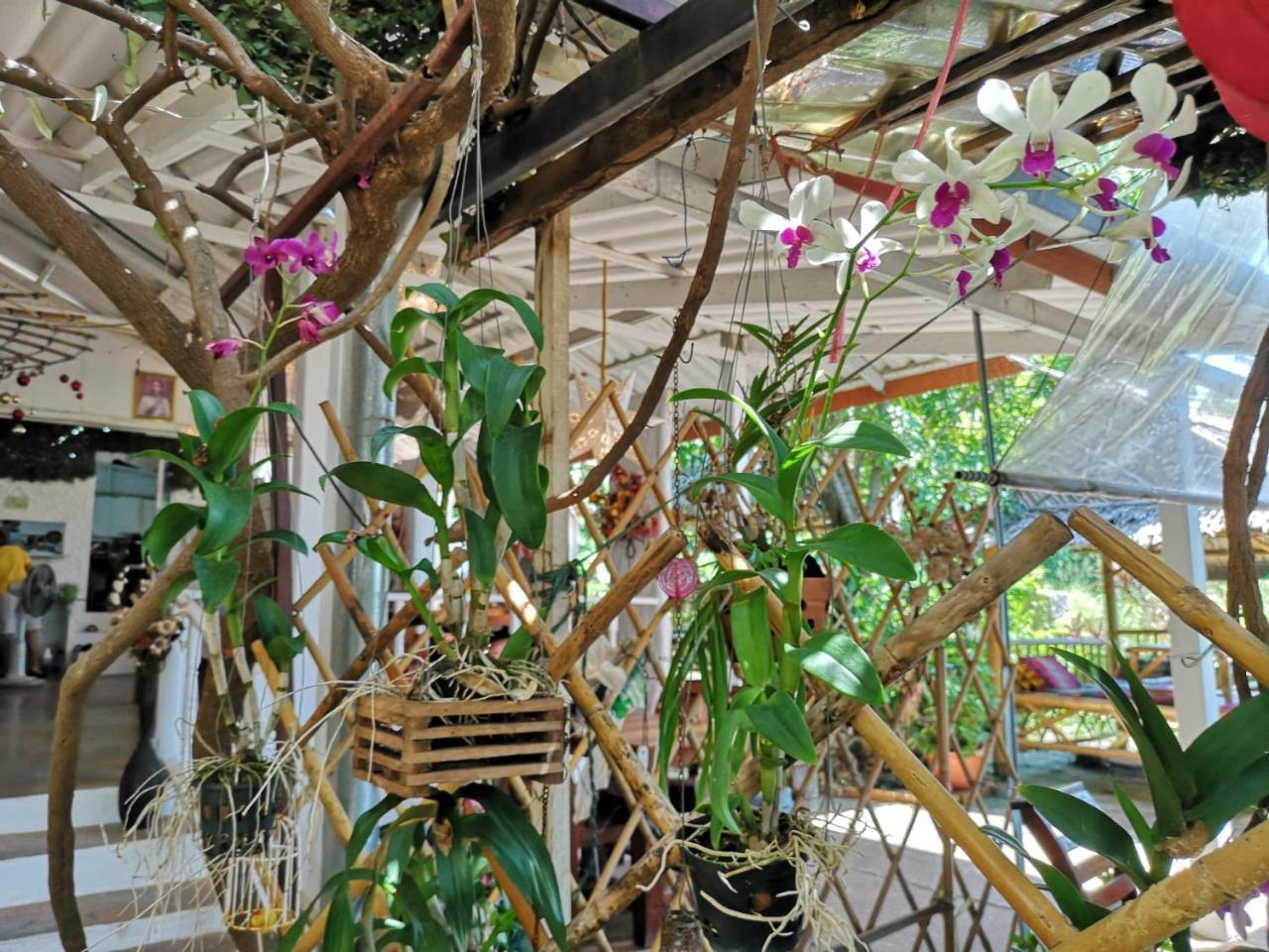Hotel Patty'S Secret Garden Ko Lanta Exterior foto